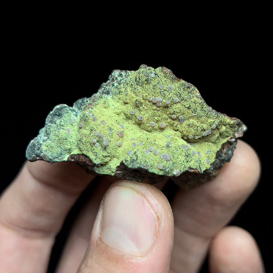 Strengite on Kidwellite