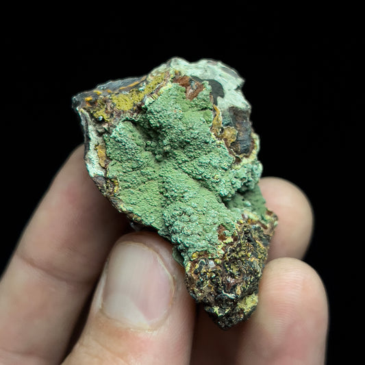 Kidwellite on Beraunite