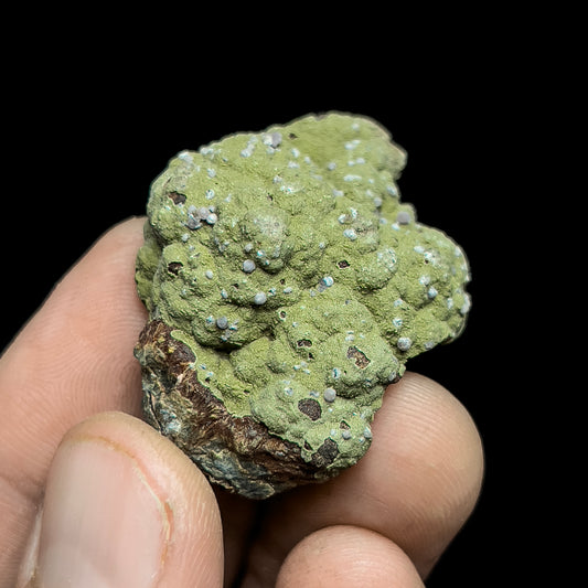 Strengite on Kidwellite