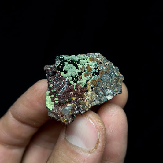 Kidwellite with Beraunite