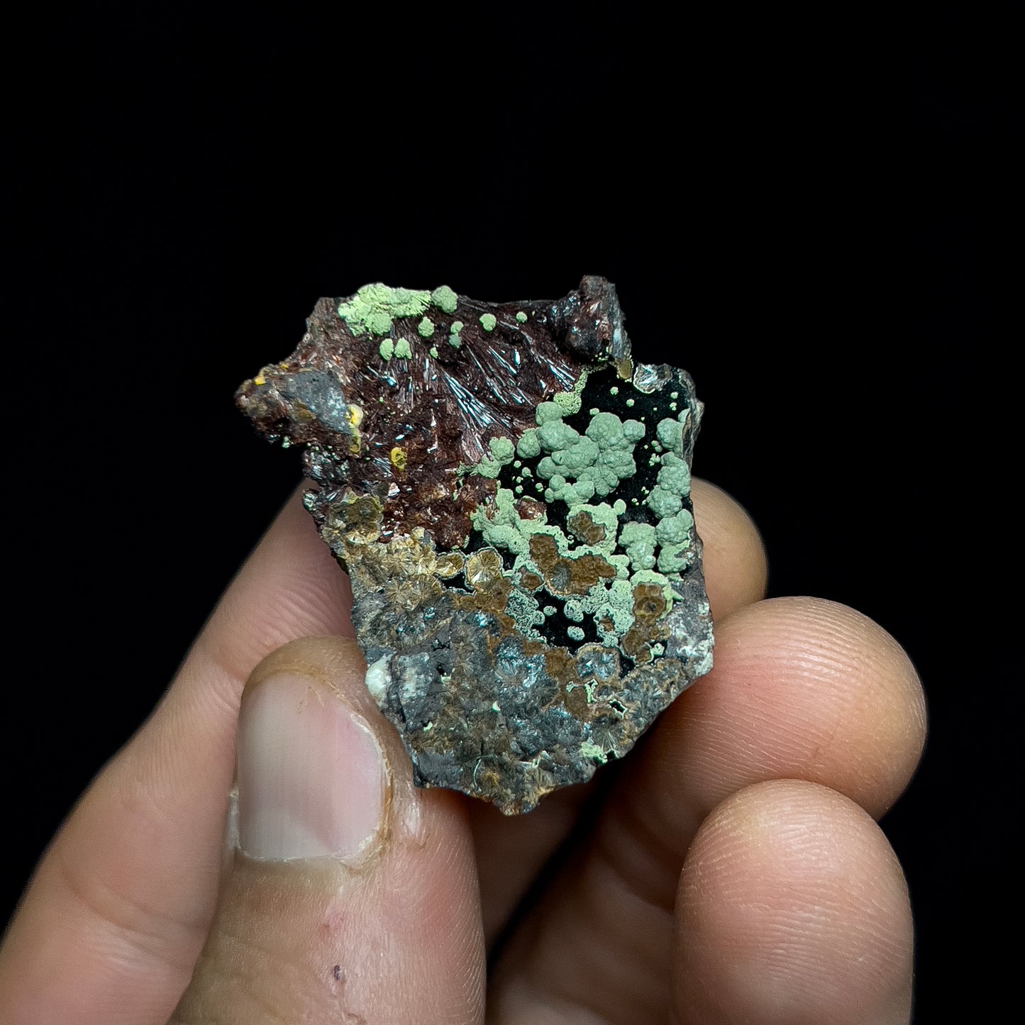 Kidwellite with Beraunite