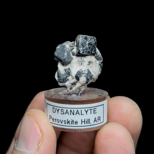 Niobian Perovskite (Dysanalyte) with Magnetite