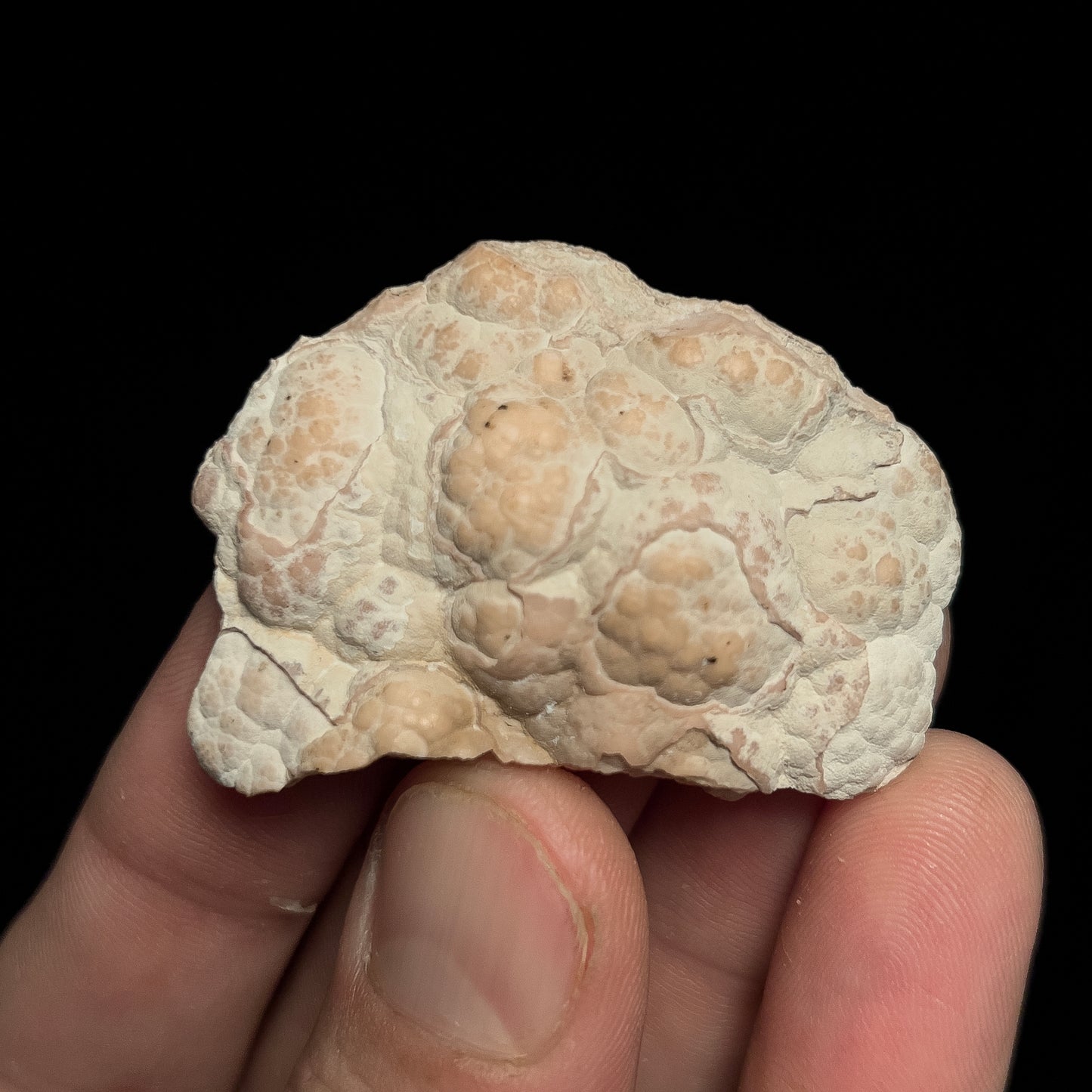 Rhodochrosite (polished)