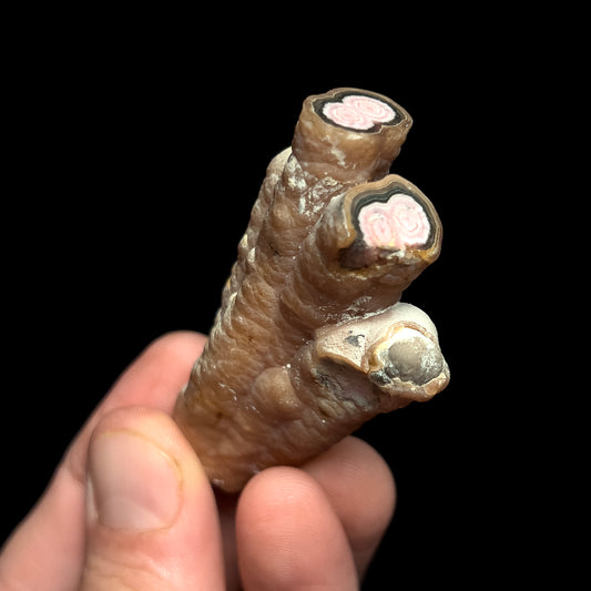 Rhodochrosite (polished)