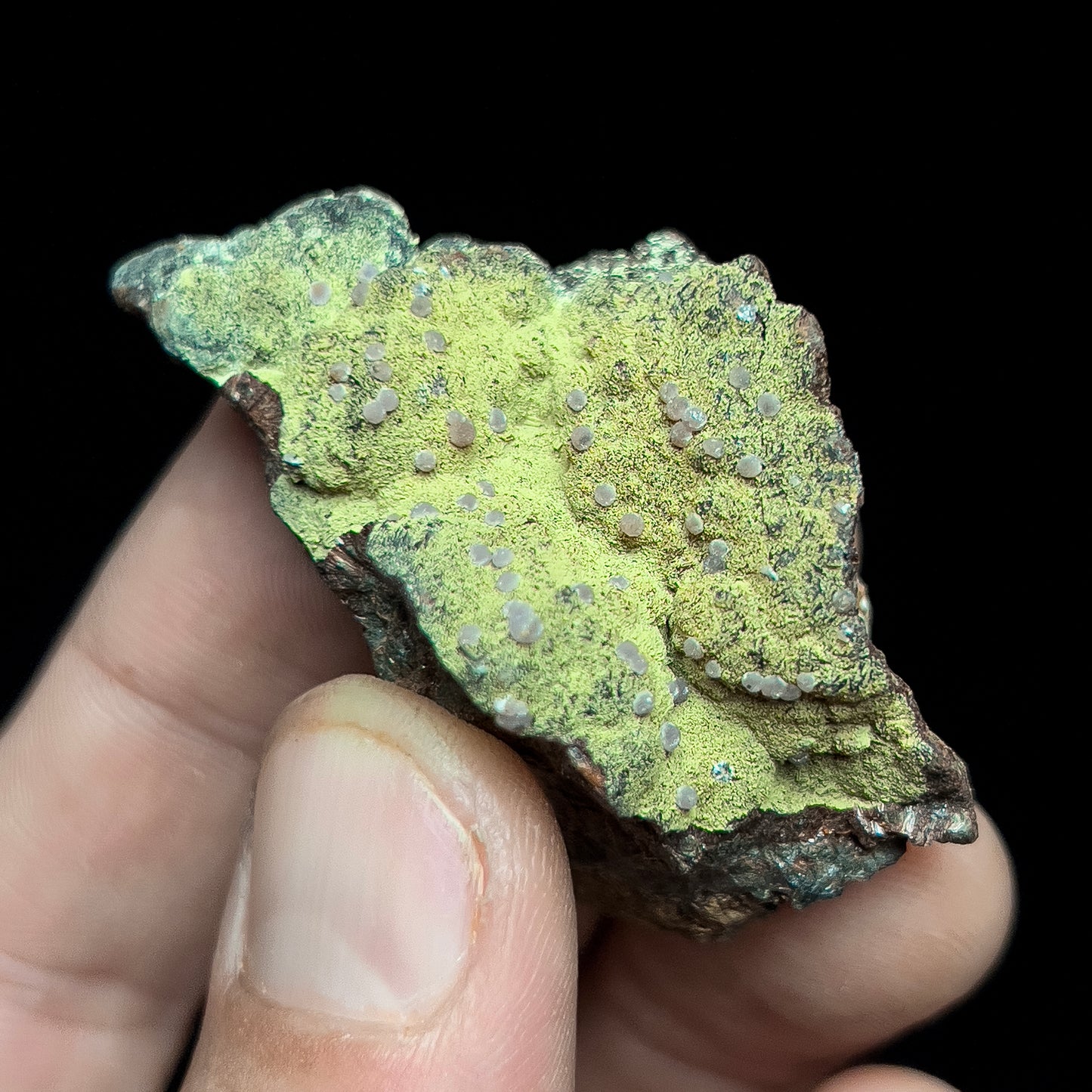 Strengite on Kidwellite
