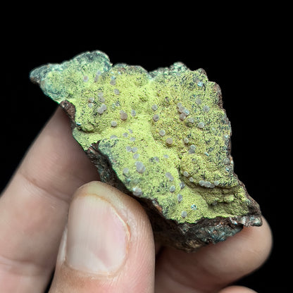 Strengite on Kidwellite