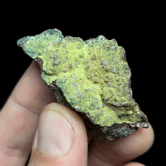 Strengite on Kidwellite
