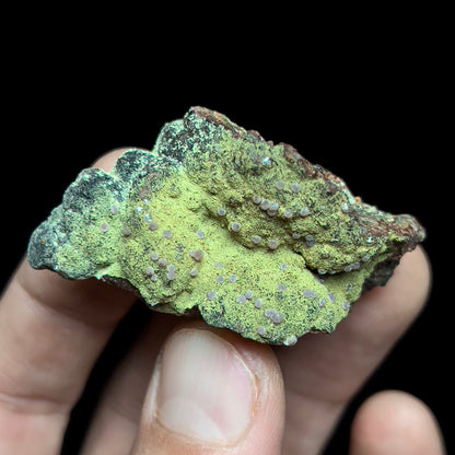 Strengite on Kidwellite