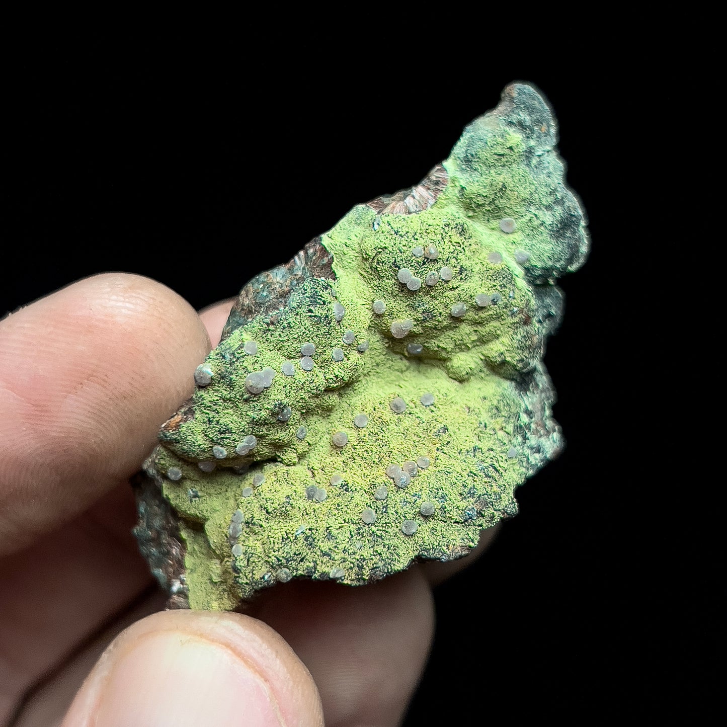Strengite on Kidwellite
