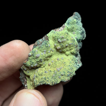 Strengite on Kidwellite