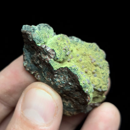 Strengite on Kidwellite
