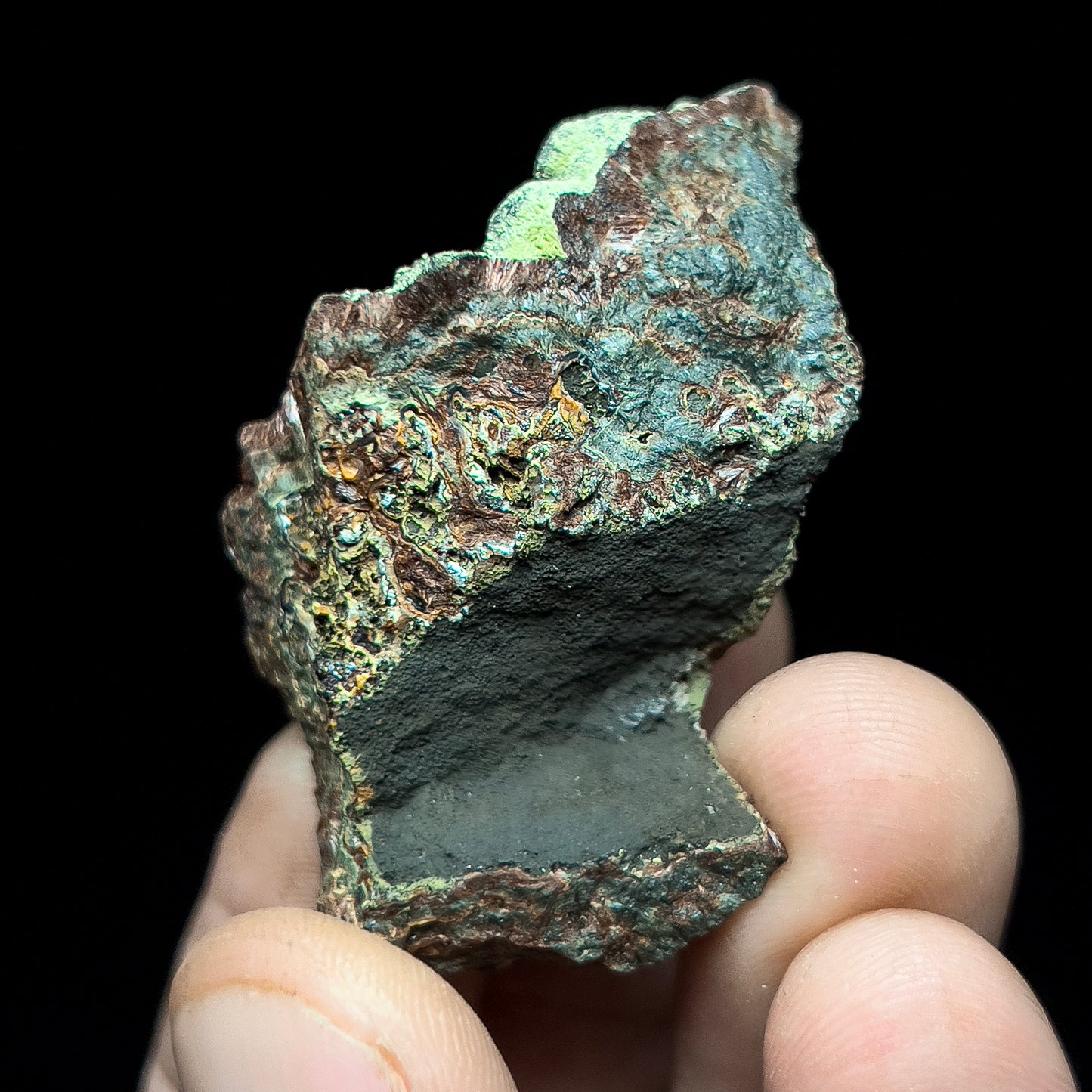 Strengite on Kidwellite