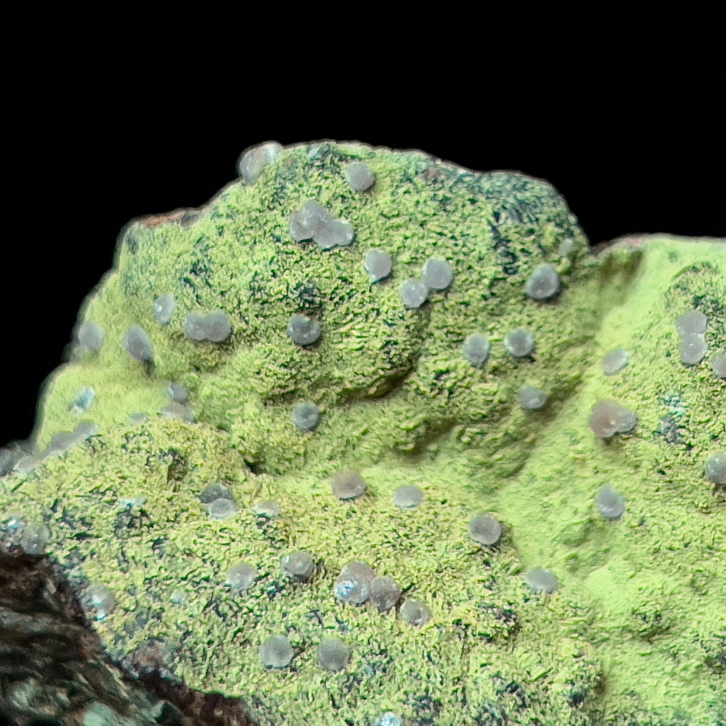 Strengite on Kidwellite