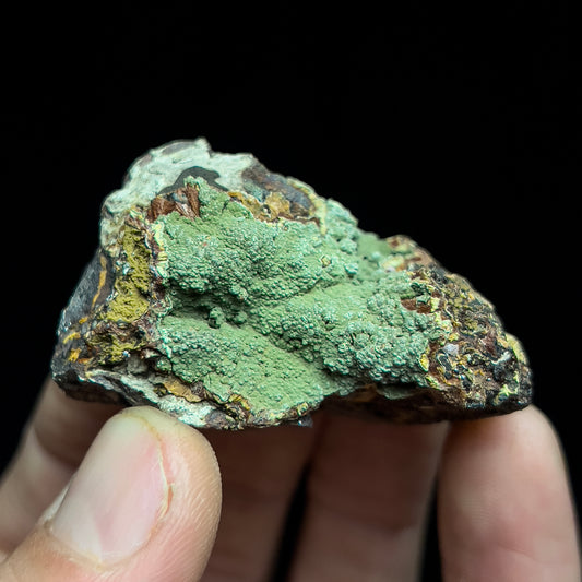Kidwellite on Beraunite