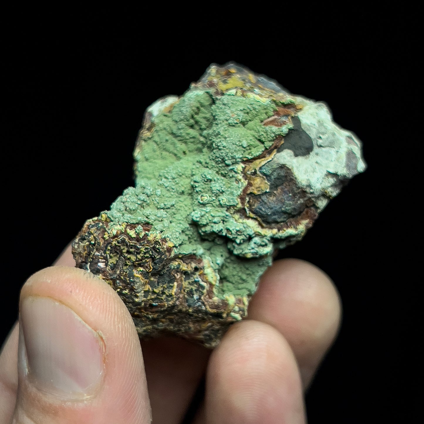 Kidwellite on Beraunite