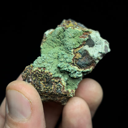 Kidwellite on Beraunite