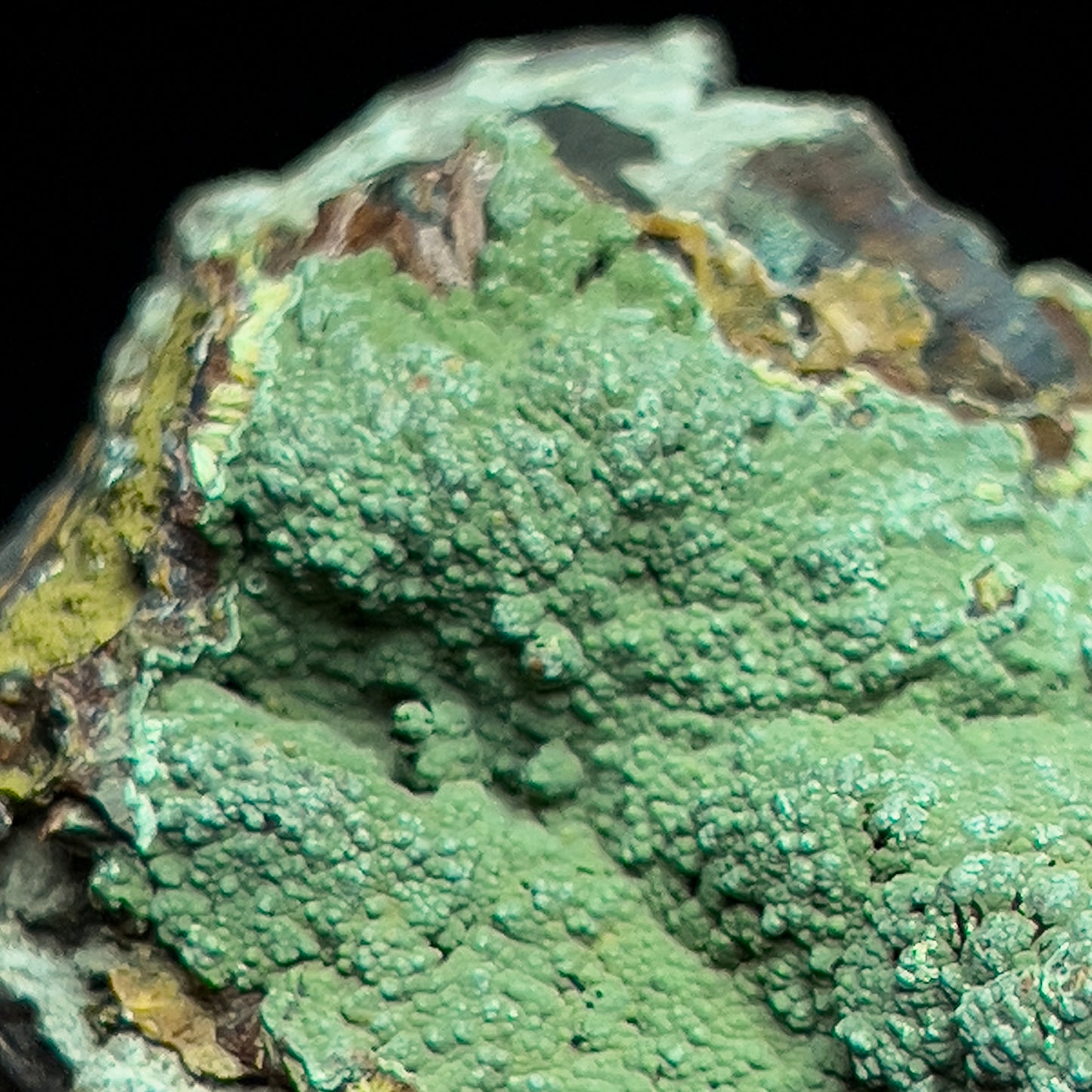 Kidwellite on Beraunite