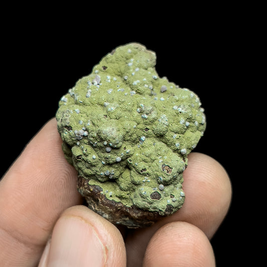 Strengite on Kidwellite