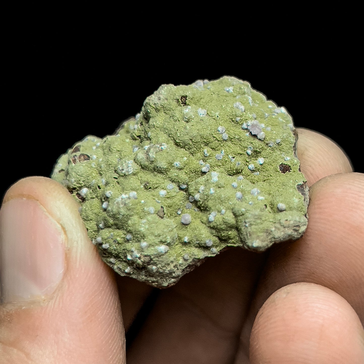 Strengite on Kidwellite