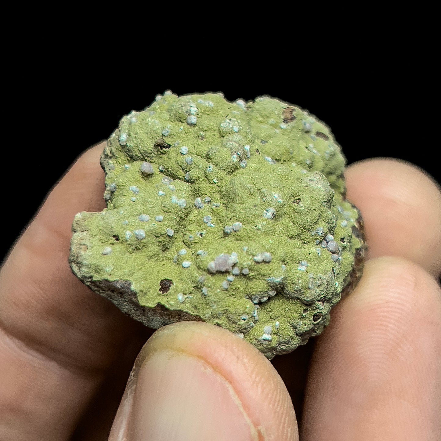 Strengite on Kidwellite