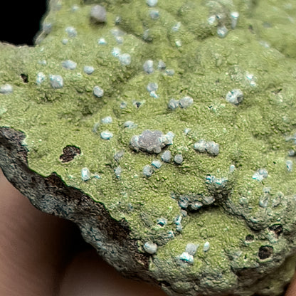 Strengite on Kidwellite