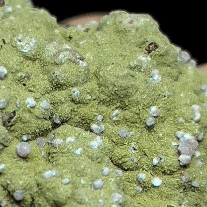 Strengite on Kidwellite