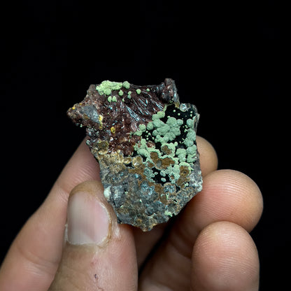 Kidwellite with Beraunite