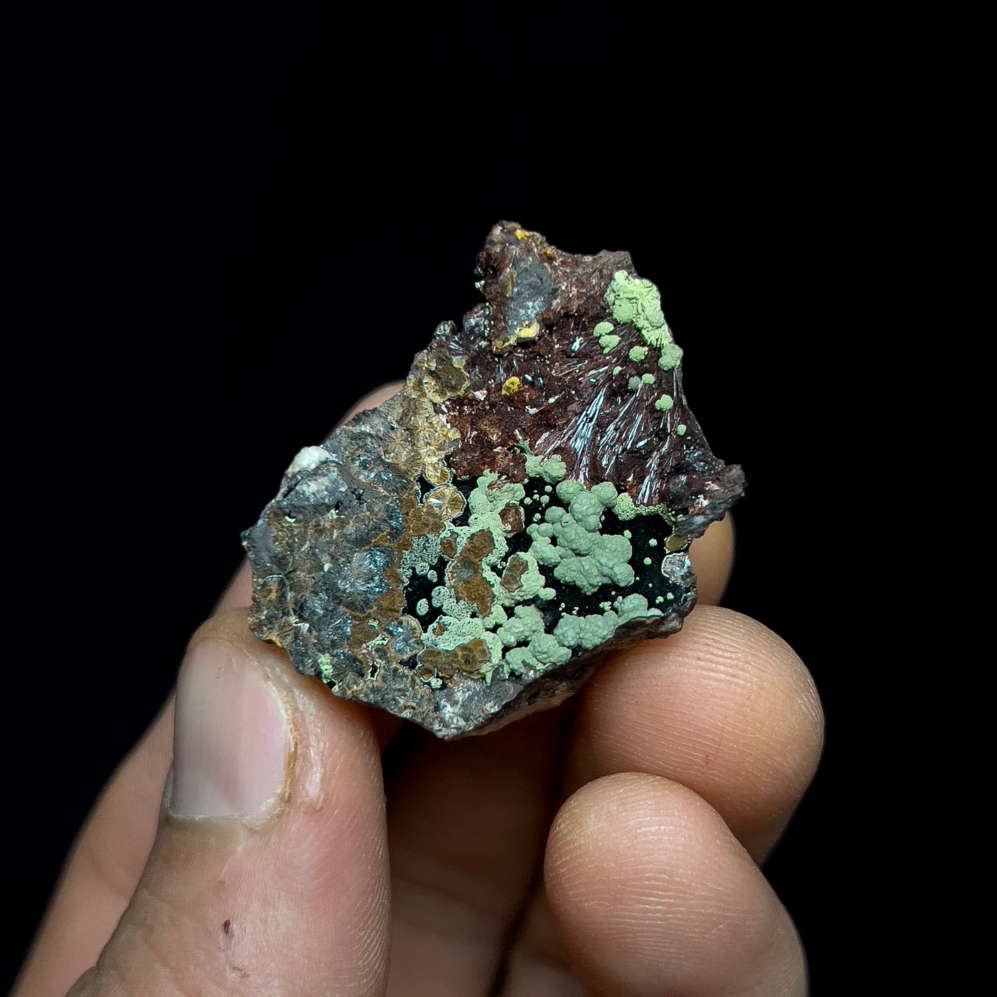 Kidwellite with Beraunite