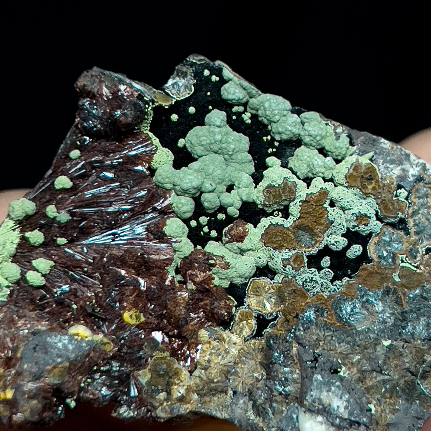Kidwellite with Beraunite