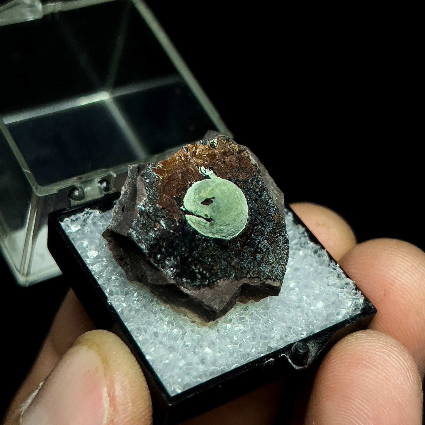 Kidwellite with Beraunite