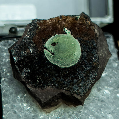 Kidwellite with Beraunite