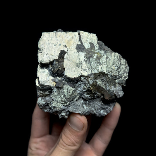 Pyrite with Molybdenite & Magnetite
