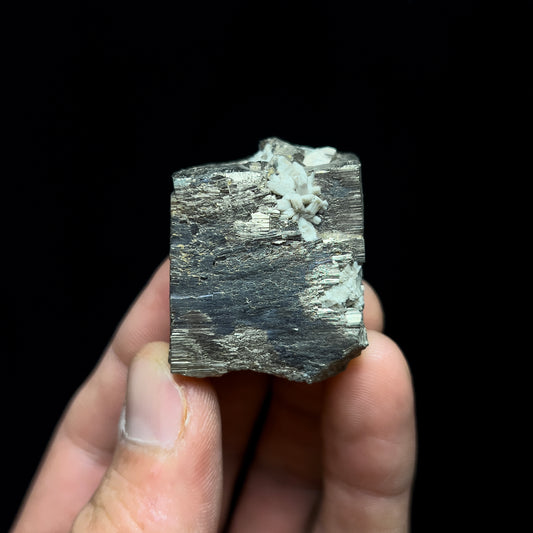 Pyrite with Molybdenite