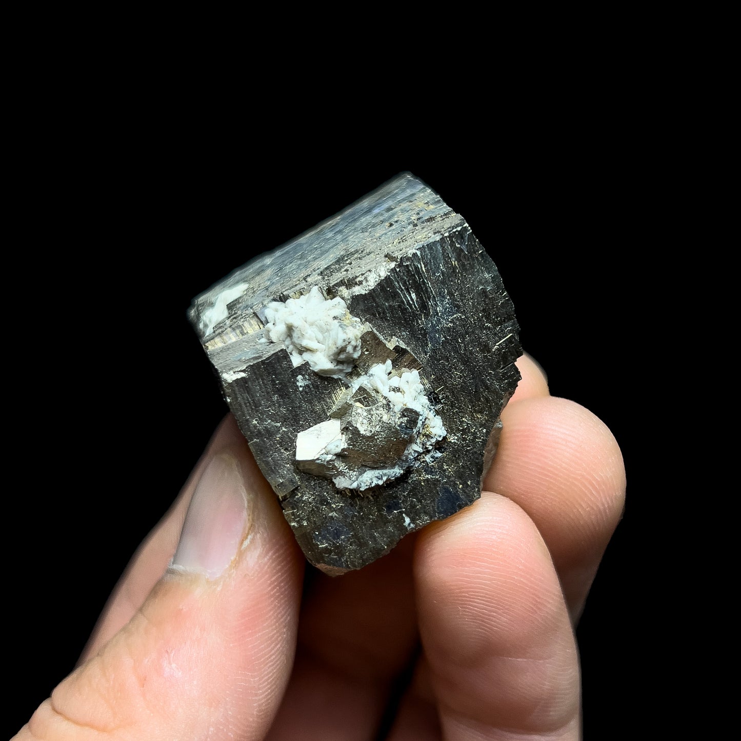 Pyrite with Molybdenite
