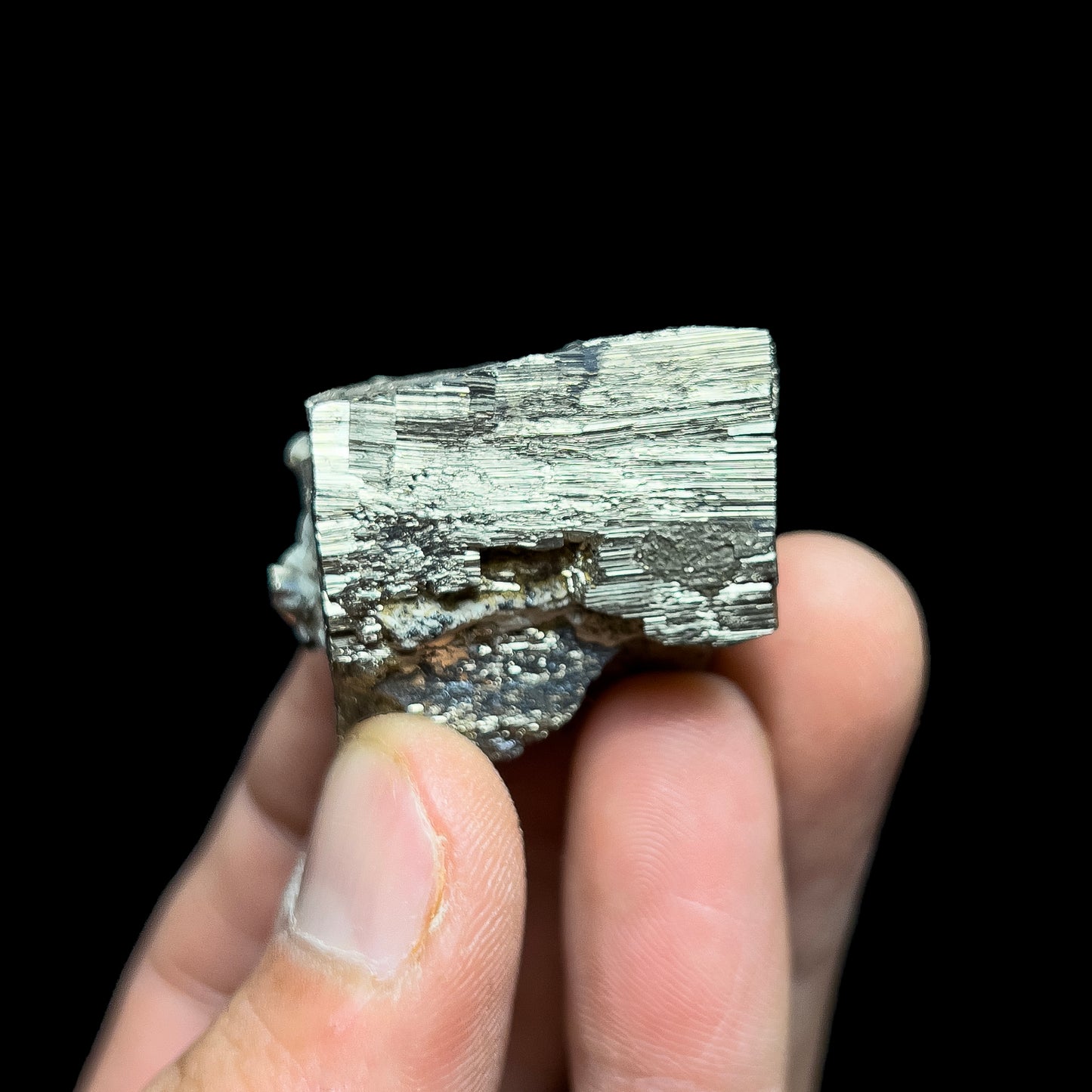 Pyrite with Molybdenite