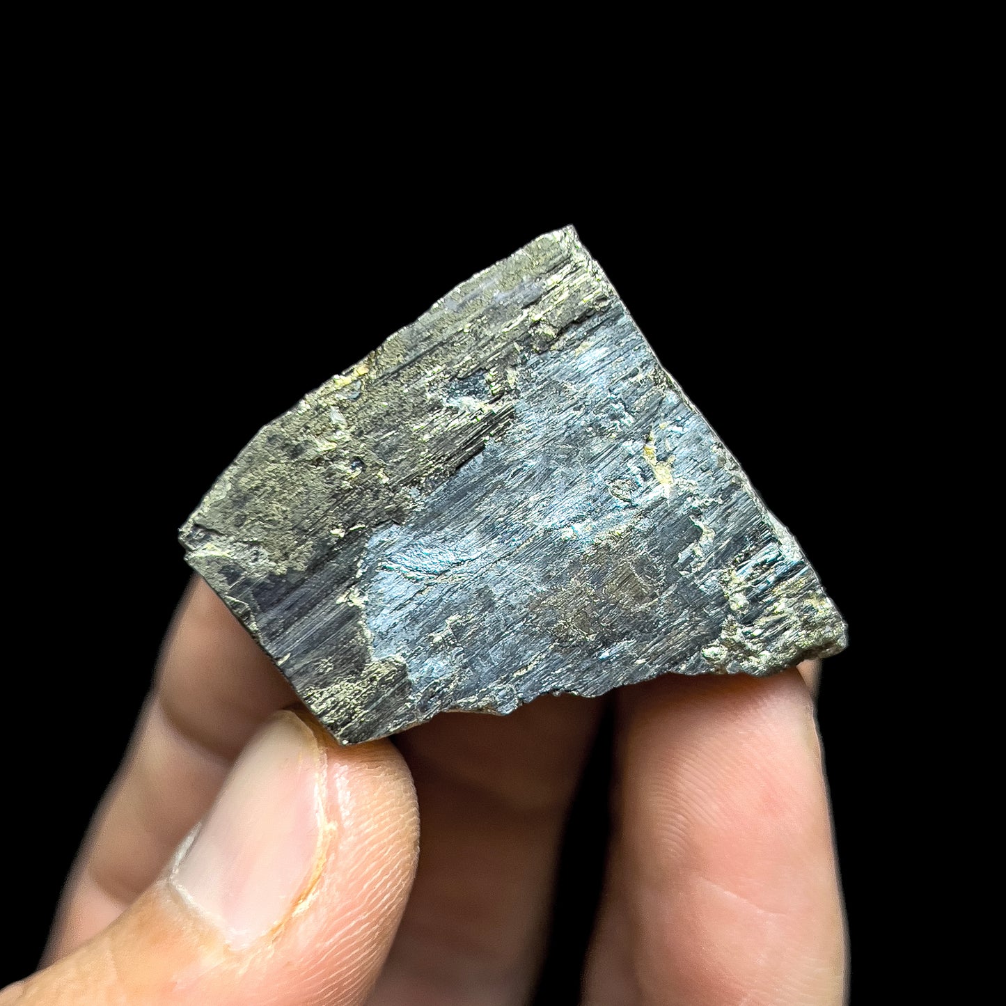Pyrite with Molybdenite