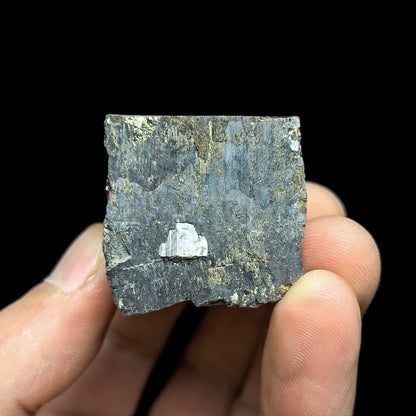 Pyrite with Molybdenite