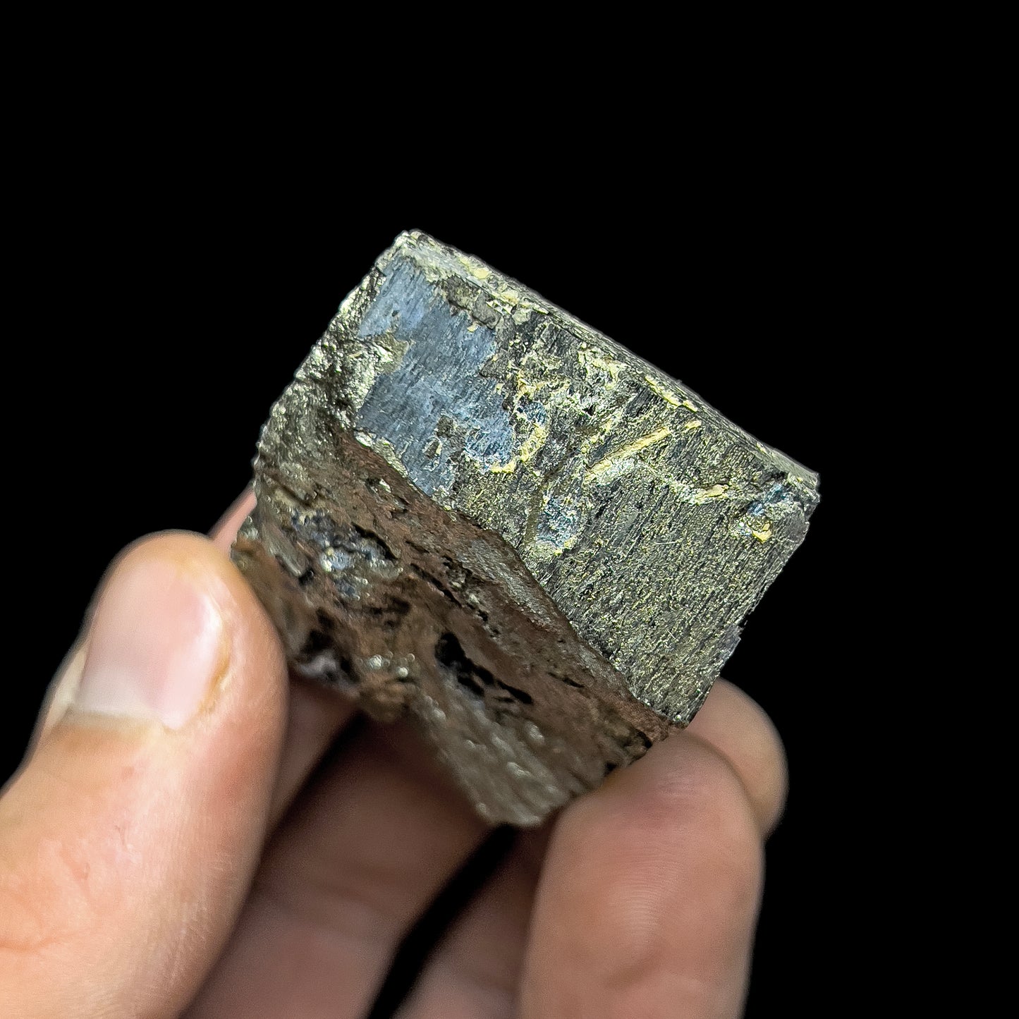 Pyrite with Molybdenite