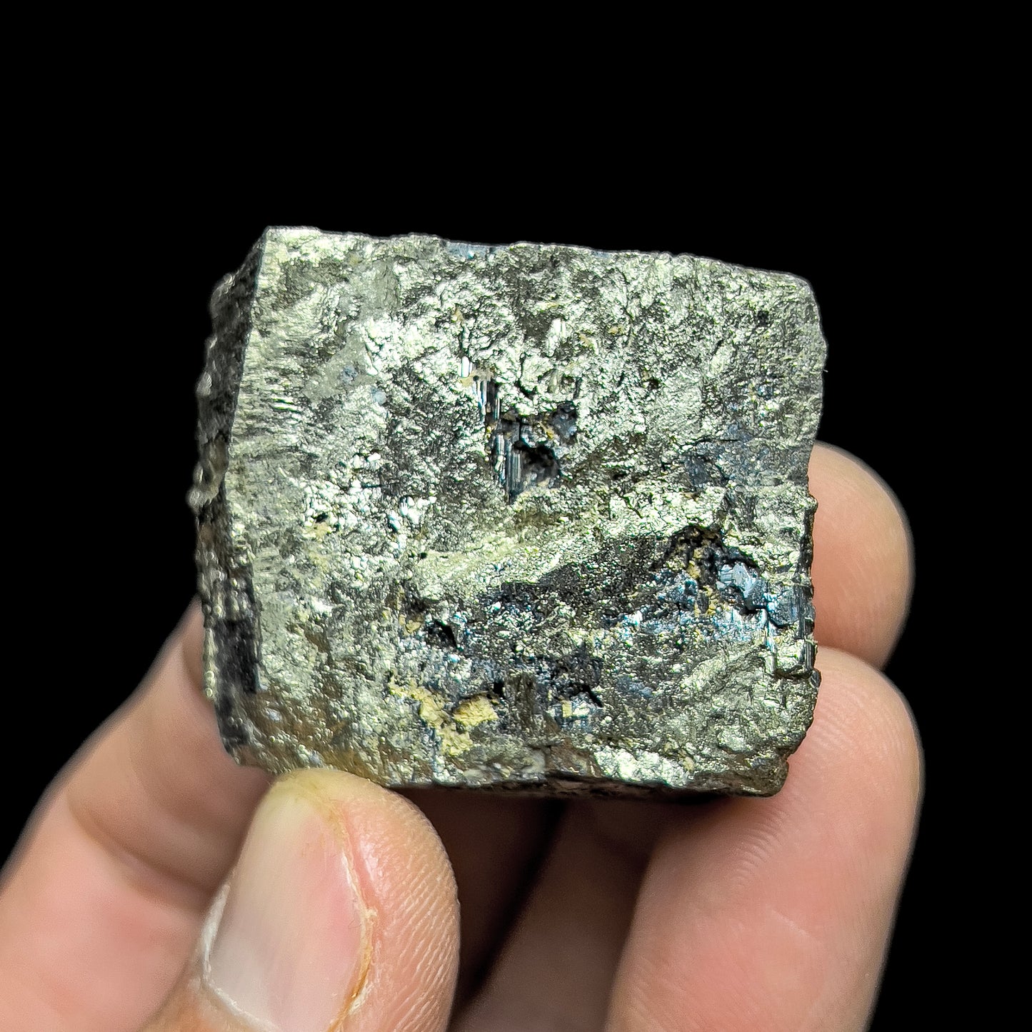 Pyrite with Molybdenite