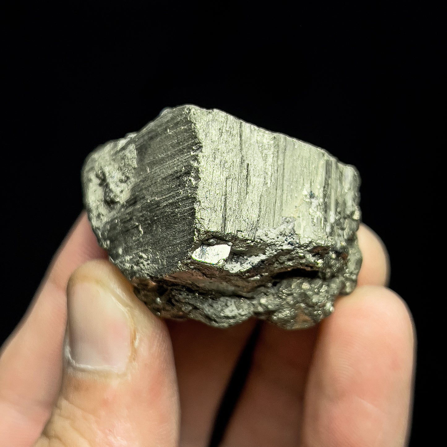 Pyrite with Magnetite