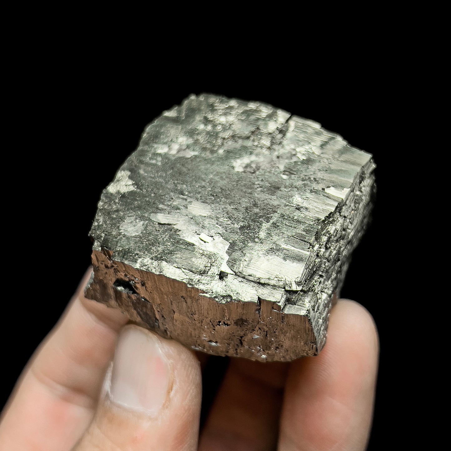 Pyrite with Molybdenite