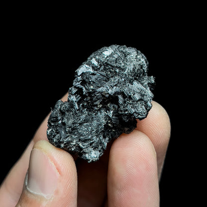 Rutile paramorph after Brookite