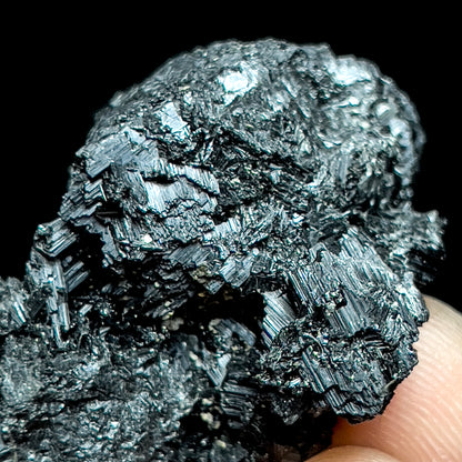 Rutile paramorph after Brookite
