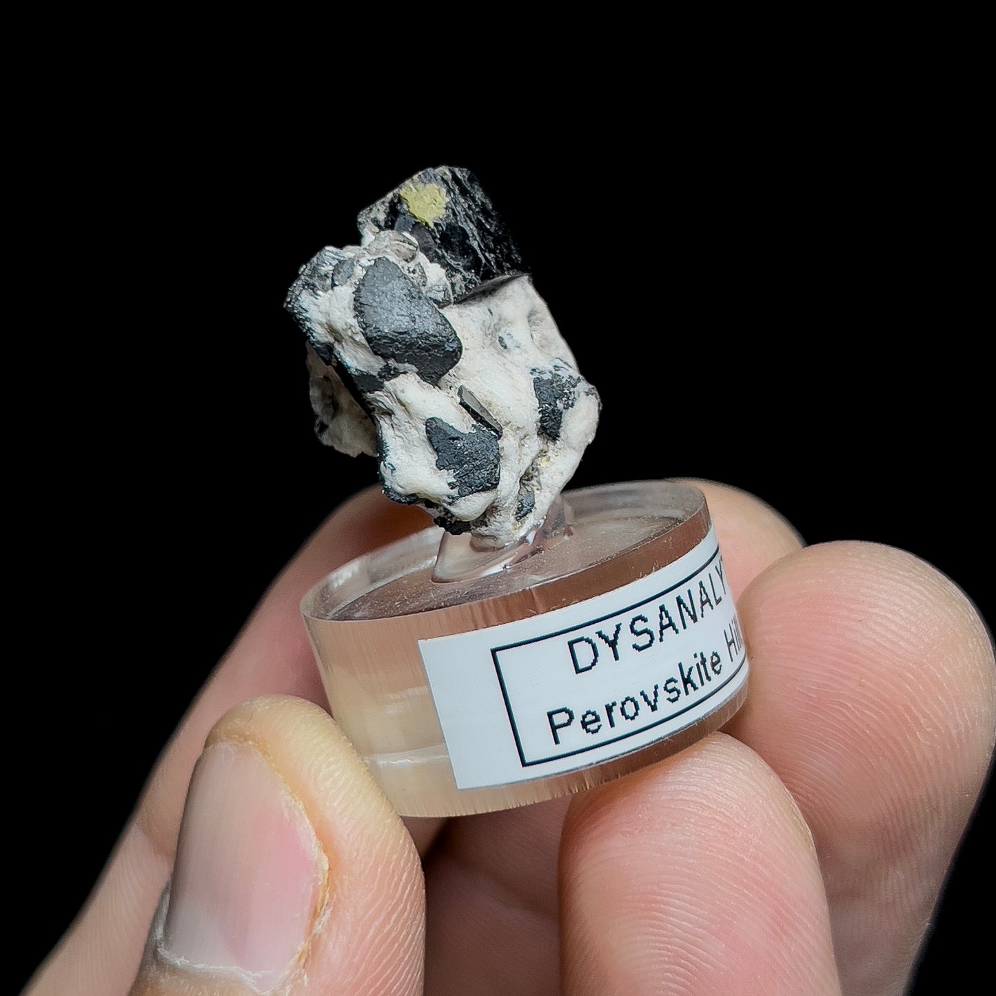 Niobian Perovskite (Dysanalyte) with Magnetite