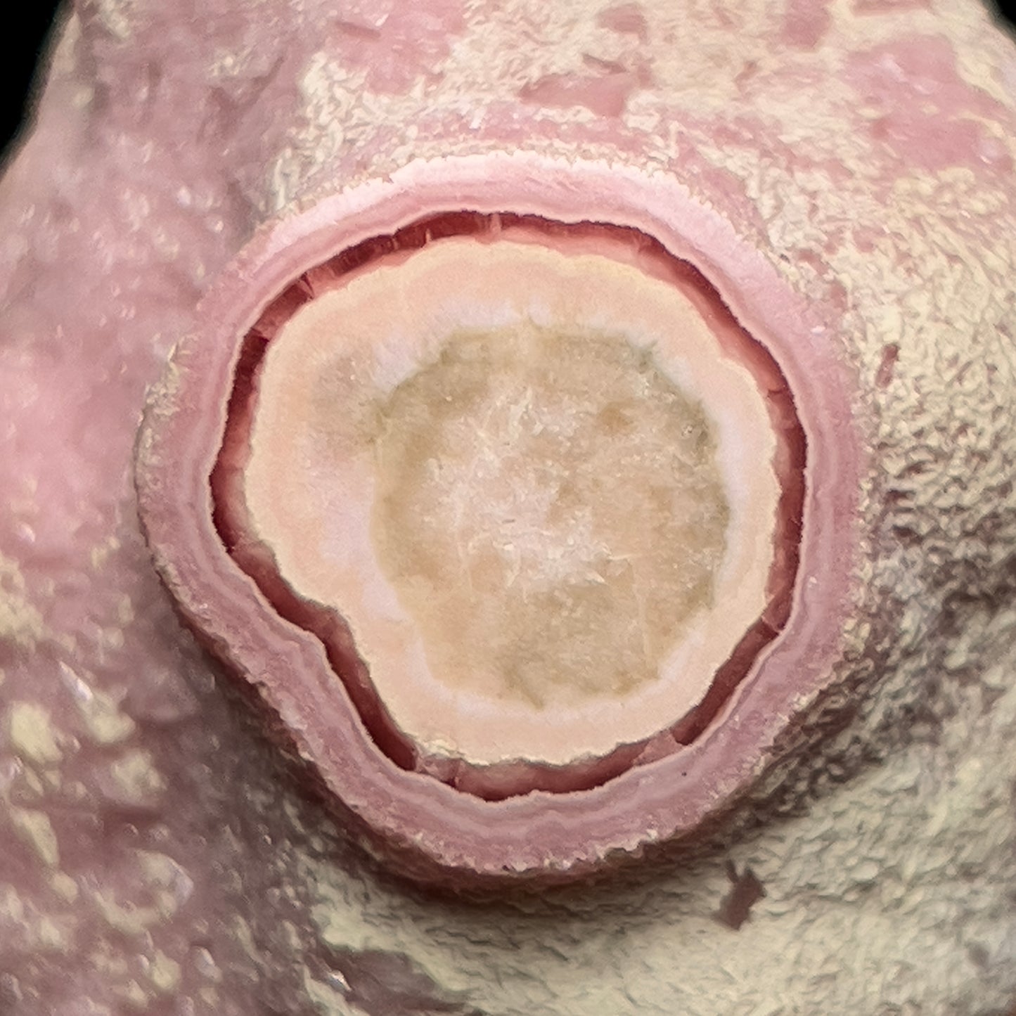Rhodochrosite (polished)