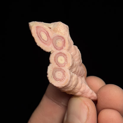 Rhodochrosite (polished)