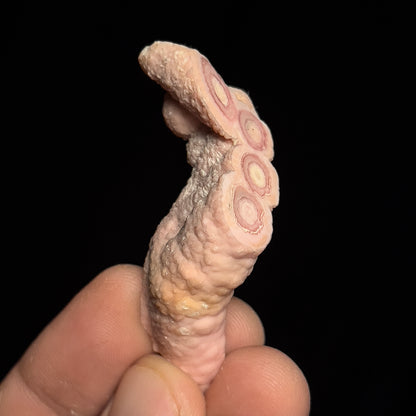 Rhodochrosite (polished)