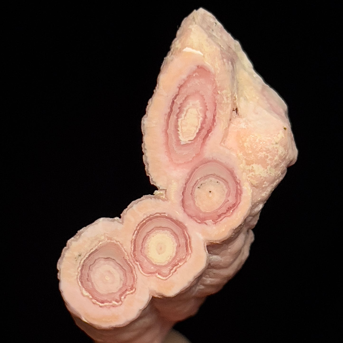 Rhodochrosite (polished)