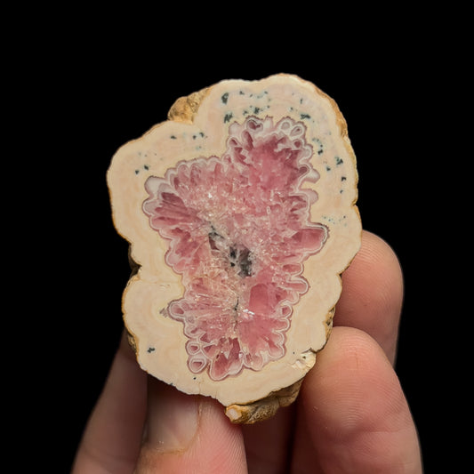 Rhodochrosite (polished)