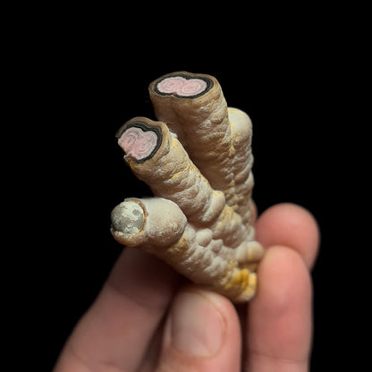 Rhodochrosite (polished)